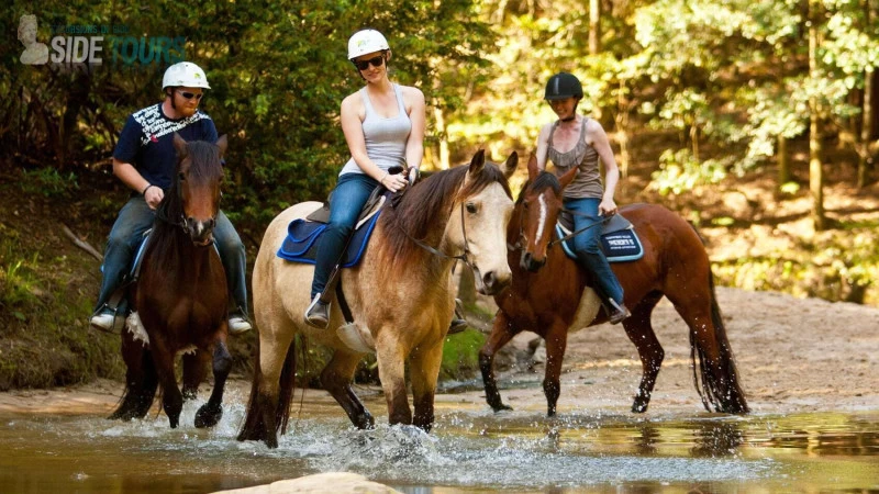 Horse Riding in Manavgat