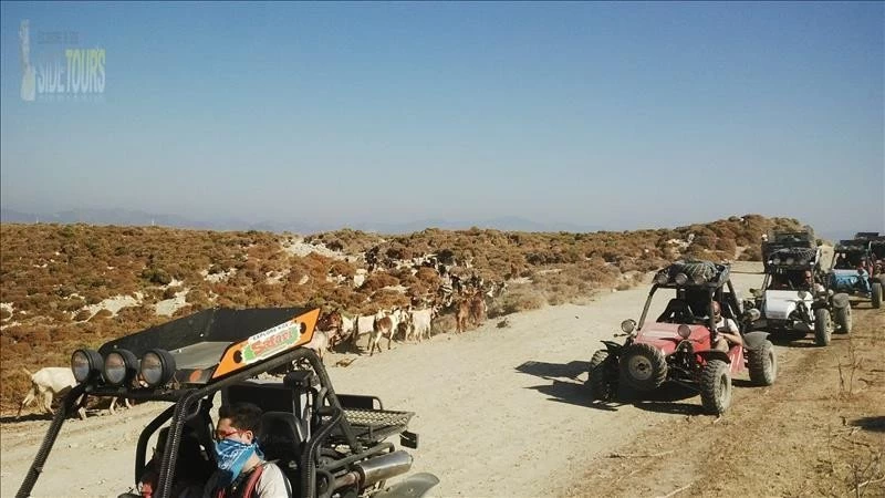 Buggy Safari in Gundogdu