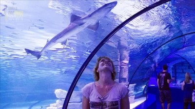 Sorgun aquarium en Turquie