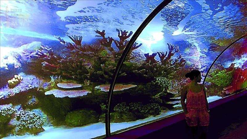 Aquarium Kızılağaç