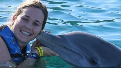 Swim with dolphins in Side Turkey