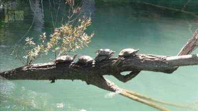 Manavgat boat trip from Side